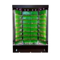 Вертикальная ферма "Моя Микрозелень" комплектация "Театро настольная" - «globural.ru» - Архангельск