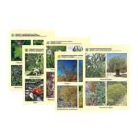 Гербарий фотографический по географии - «globural.ru» - Архангельск