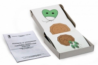 Модель-аппликация Размножение одноклеточной водоросли (набор из 11 карт) - «globural.ru» - Архангельск