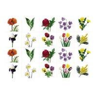 Комплект карточек. Серия наглядных пособий "Запоминай, играй, считай". Цветы. - «globural.ru» - Архангельск