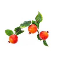 Ветка муляжей "Гранат" - «globural.ru» - Архангельск