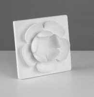 Кувшинка - «globural.ru» - Архангельск