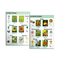 Коллекция "Семена и плоды" (вариант 2) - «globural.ru» - Архангельск