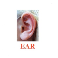 Карточки Домана "Body Parts" ("Части тела") на английском языке - «globural.ru» - Архангельск