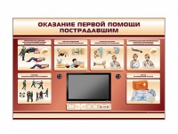 Многофункциональный интерактивный стенд-тренажер "Оказание первой помощи пострадавшим" для учащихся общеобразовательных учреждений - «globural.ru» - Архангельск