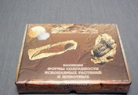 Коллекция "Формы сохранности ископаемых растений и животных" - «globural.ru» - Архангельск