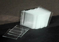 Стекло покровное (упаковка 100 штук) - «globural.ru» - Архангельск