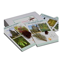 Коллекция "Голосеменные растения" (вариант 2) - «globural.ru» - Архангельск