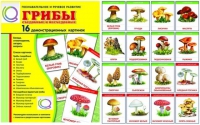 Демонстрационные карточки  "Грибы съедобные и не съедобные" - «globural.ru» - Архангельск
