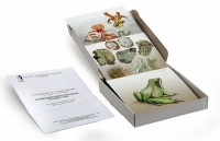 Модель-аппликация Взаимодействия в природных сообществах (набор из 23 карт) - «globural.ru» - Архангельск