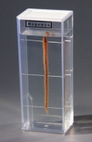 Влажный препарат Нереида - «globural.ru» - Архангельск