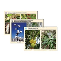 Гербарий фотографический "Сельскохозяйственные растения мира" - «globural.ru» - Архангельск