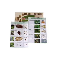 "Шишки, плоды, семена деревьев и кустарников" - «globural.ru» - Архангельск