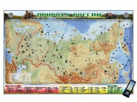 Электронно-информационный (маркерный) стенд "Природа России" адаптивный, с сенсорным пультом управления и планшетом со шрифтом Брайля (география) - «globural.ru» - Архангельск