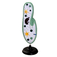 Модель инфузории-туфельки - «globural.ru» - Архангельск