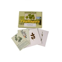 Гербарий "Деревья и кустарники" (22 вида, с иллюстрациями) - «globural.ru» - Архангельск