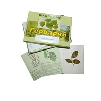 Гербарий "Дикорастущие растения" (30 видов, с иллюстрациями) - «globural.ru» - Архангельск