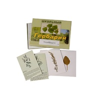Гербарий "Лекарственные растения" (22 вида, с иллюстрациями) - «globural.ru» - Архангельск