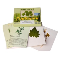 Гербарий "Систематика растений. Высшие споровые и семенные" (раздаточный) - «globural.ru» - Архангельск