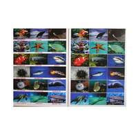 Английское лото "Подводный мир" - «globural.ru» - Архангельск