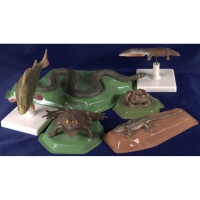 Комплект моделей "Позвоночные животные" (8 штук) - «globural.ru» - Архангельск