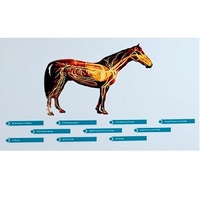 Стенд-планшет светодинамический "Изучение кровеносной системы сельскохозяйственных животных" со сменными панелями - «globural.ru» - Архангельск