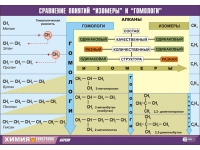 Таблица демонстрационная "Сравнение понятий изомер и гомолог" (винил 100х140) - «globural.ru» - Архангельск