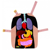 Фланелеграф-фартук "Анатомия" - «globural.ru» - Архангельск