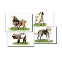 Набор карточек "Домашние животные" (раздаточные) - «globural.ru» - Архангельск