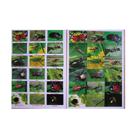 Английское лото "Насекомые" - «globural.ru» - Архангельск