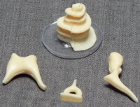 Модель "Косточки слуховые" - «globural.ru» - Архангельск