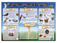 Стенд-уголок "Друзья наши меньшие" - «globural.ru» - Архангельск