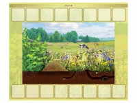 Магнитно-маркерный плакат "Луга" с набором магнитных карточек + методические рекомендации - «globural.ru» - Архангельск