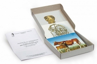 Модель-аппликация Цикл развития бычьего цепня (набор из 7 карт) - «globural.ru» - Архангельск