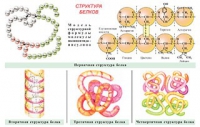 Плакаты и таблицы по общей химии - «globural.ru» - Архангельск