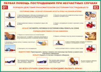 Таблица Порядок действий при коматозном состоянии пострадавшего 1000*1400 винил - «globural.ru» - Архангельск