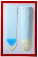 Барельефная модель "Клеточное строение корня" - «globural.ru» - Архангельск