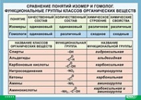 Химия. Сравнение понятий изомер и гомолог. Функциональные группы классов органических веществ (винил) - «globural.ru» - Архангельск
