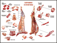 Правила разделки мясных туш "Баранина и ягнятина" 1000*1400 винил - «globural.ru» - Архангельск
