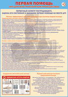 Плакат "Первичный осмотр пострадавшего, оценка его состояния и оказание первой помощи на месте ДТП " 1000*1400 винил - «globural.ru» - Архангельск
