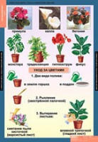 Окружающий мир 1 класс (комплект таблиц) - «globural.ru» - Архангельск