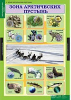 Окружающий мир 4 класс (комплект таблиц) - «globural.ru» - Архангельск