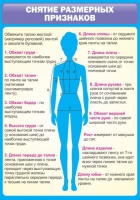 Стенд "Снятие мерок" (вариант 2) - «globural.ru» - Архангельск