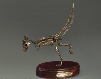 Модель скелета динозавра Pachycephalosaurus - «globural.ru» - Архангельск