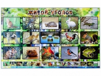 Комплект оборудования "Живой уголок" (животные) с тифлопереводом и сурдокомментариями - «globural.ru» - Архангельск