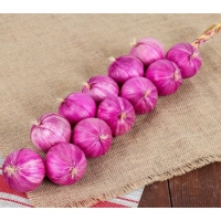 Муляжи "Связка лука" - «globural.ru» - Архангельск