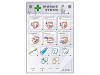 Интерактивный стенд "Живые зубки" - «globural.ru» - Архангельск