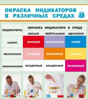 Стенд "Окраска индикаторов в различных средах" - «globural.ru» - Архангельск