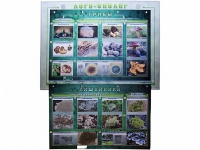 Комбинированный модульный комплекс "Лого-биолог" - «globural.ru» - Архангельск