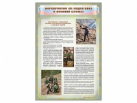 Стенд "Мероприятия обязательной подготовки граждан к военной службе" - «globural.ru» - Архангельск